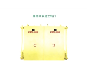 天津降落式双扇立转门